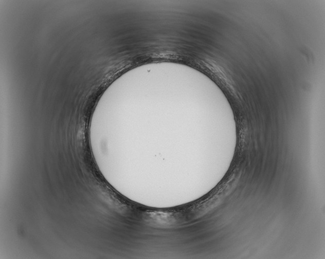 X0000113030265200909241420