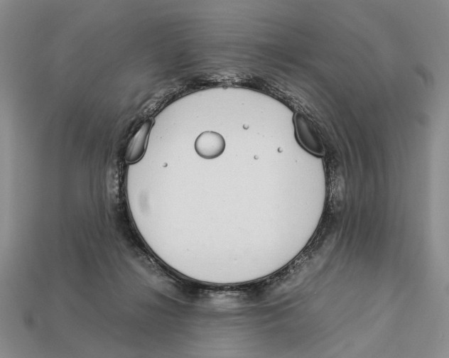 X0000113030268200909241420