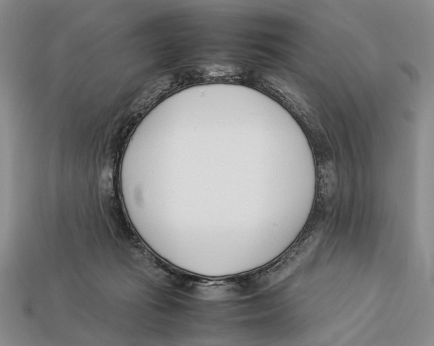 X0000113030269200909241420