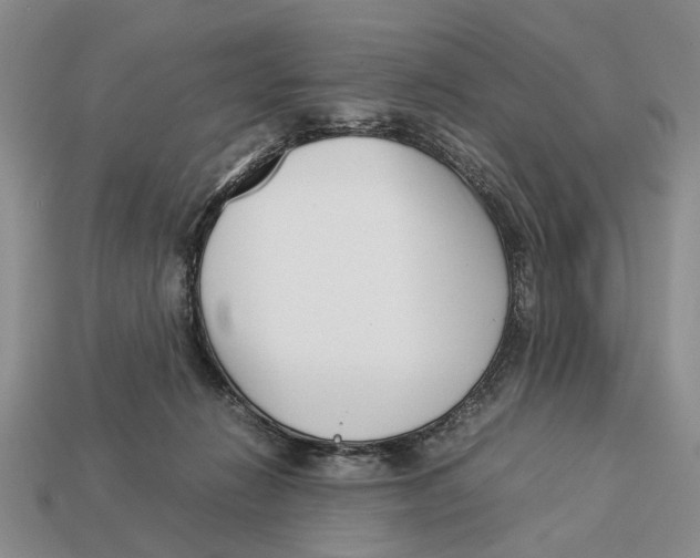 X0000113030270200909241420