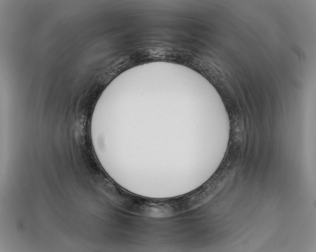 X0000113030275200909241420