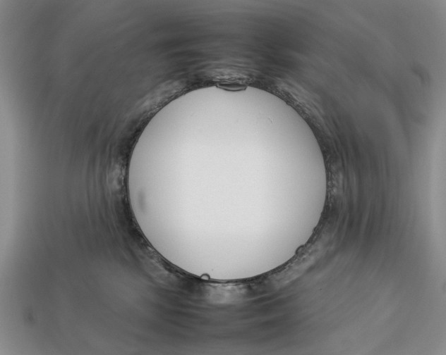 X0000113030281200909241420