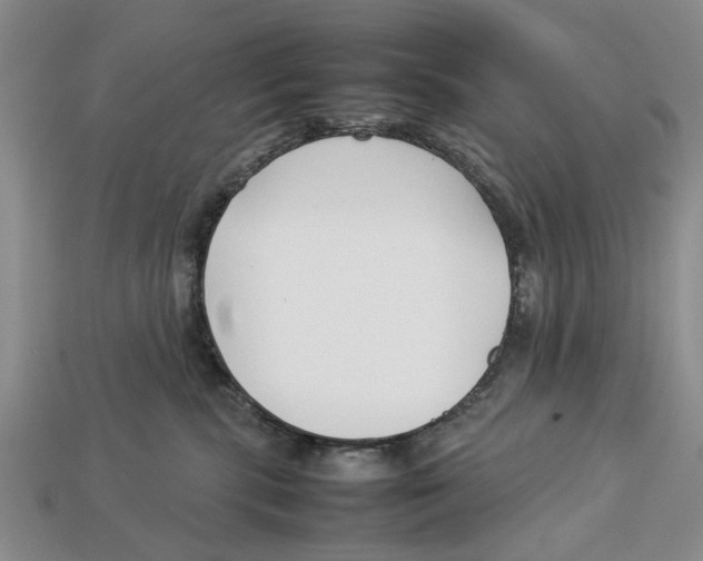 X0000113030283200909241420