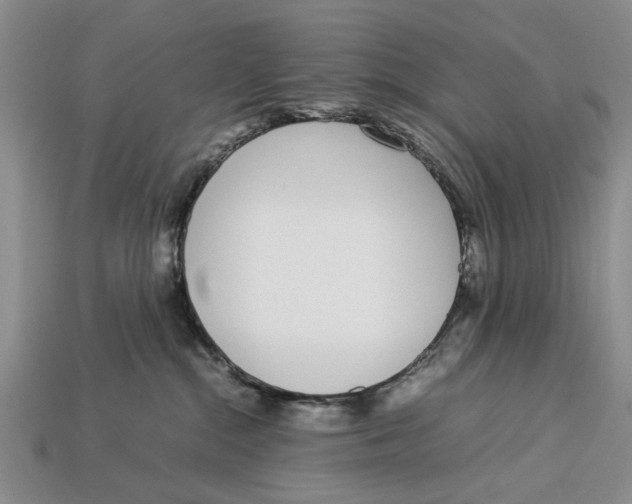 X0000113030284200909241420