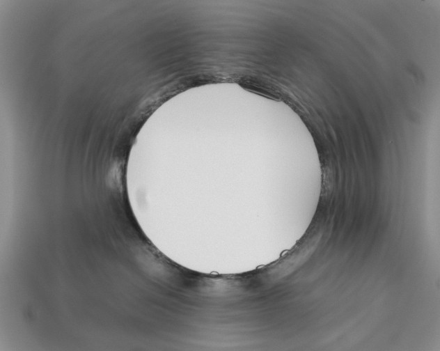 X0000113030286200909241420