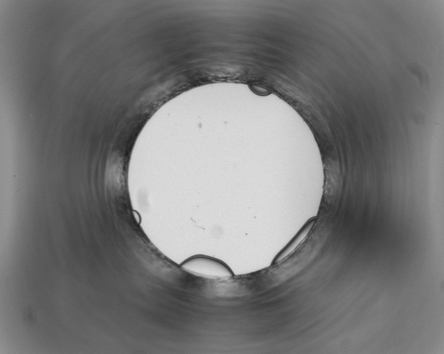 X0000113030287200909241420