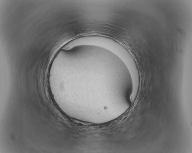 X0000113030289200909241419