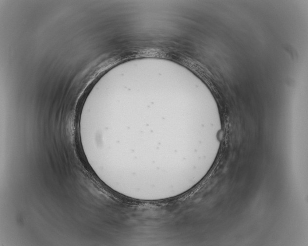 X0000113030290200909241419