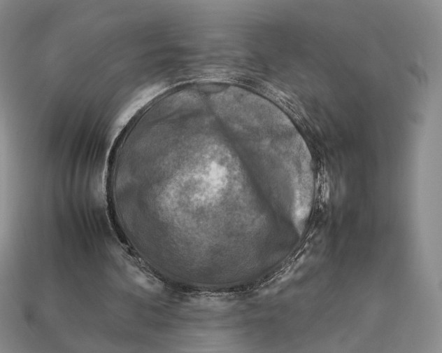 X0000113030292200909241419