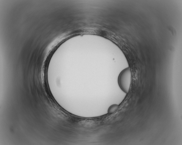 X0000113030294200909241419