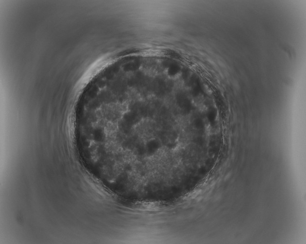 X0000113030295200909241419