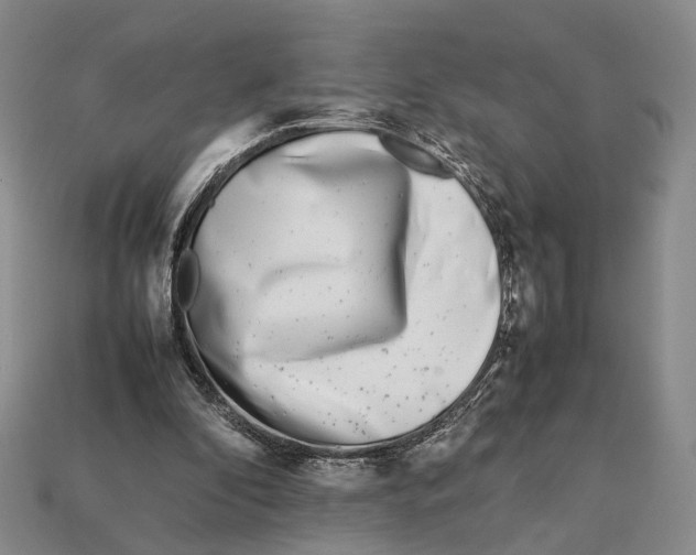 X0000113030296200909241419