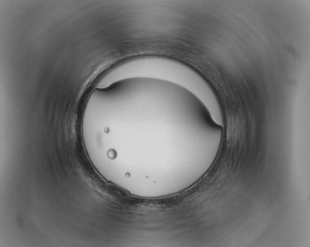 X0000113030300200909241419