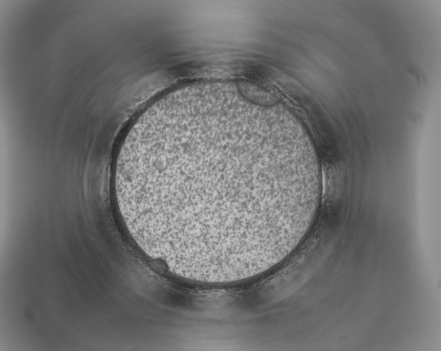 X0000113030301200909241419