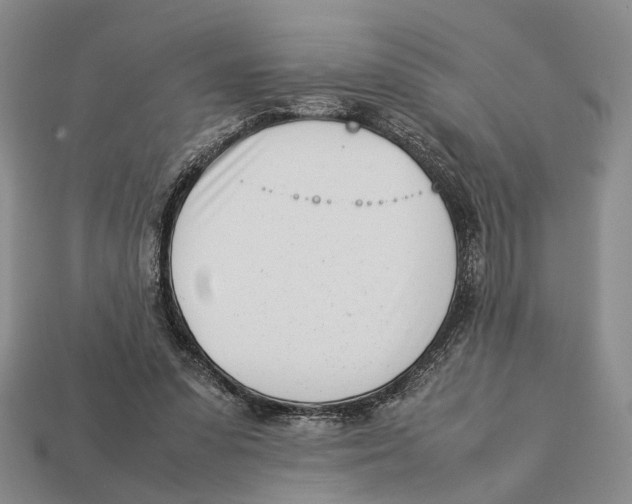 X0000113030303200909241419