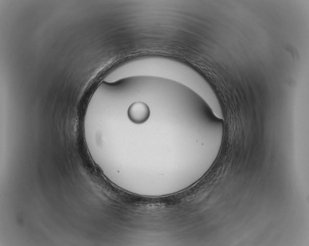 X0000113030304200909241419