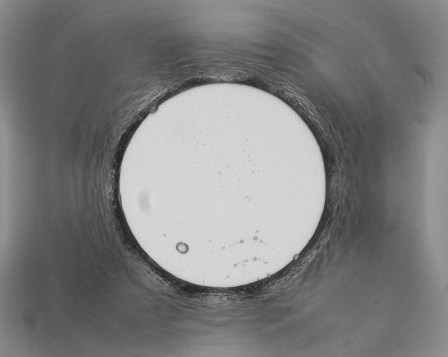 X0000113030305200909241419