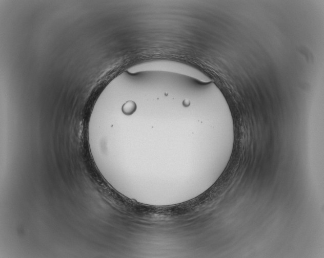 X0000113030308200909241419