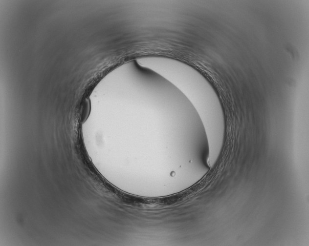 X0000113030309200909241419