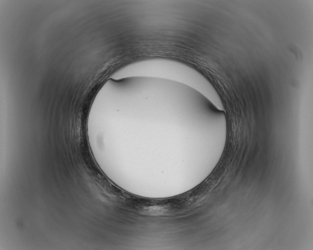 X0000113030312200909241419