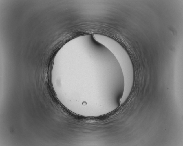 X0000113030313200909241419