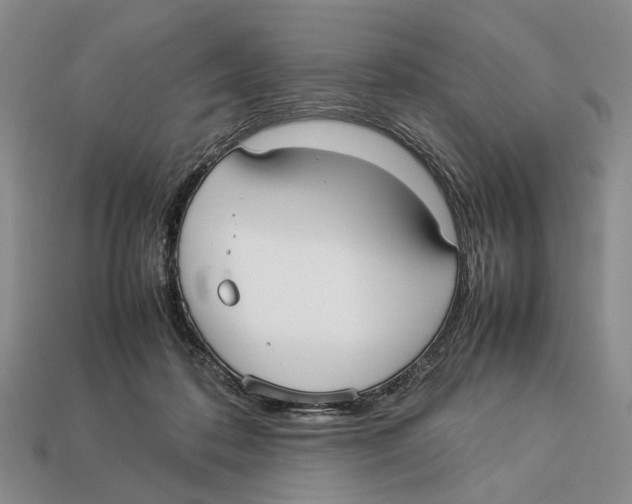 X0000113030316200909241419