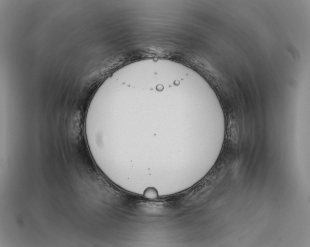 X0000113030318200909241419