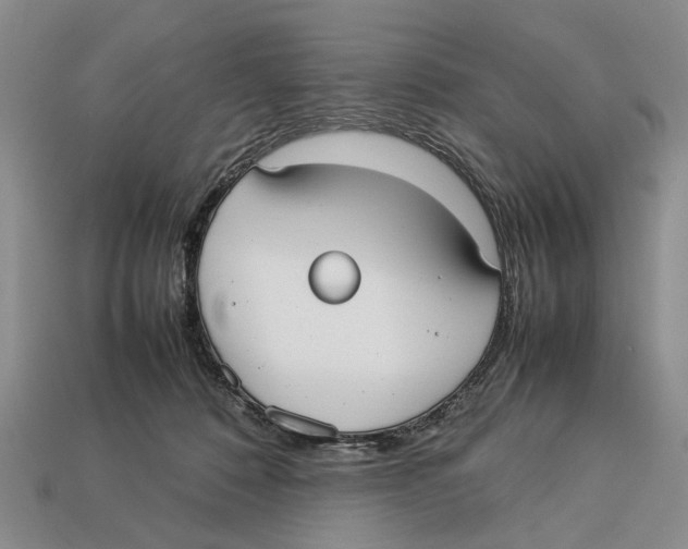 X0000113030320200909241419