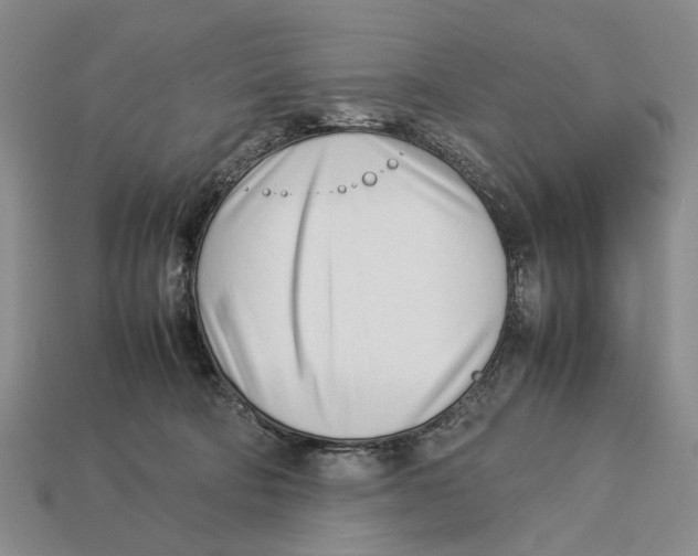 X0000113030322200909241419