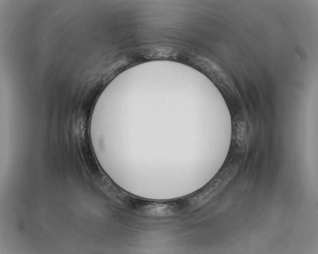 X0000113030326200909241419