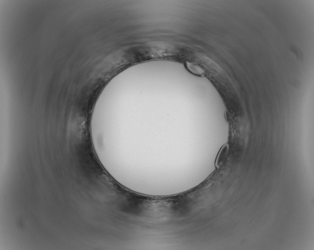 X0000113030327200909241419