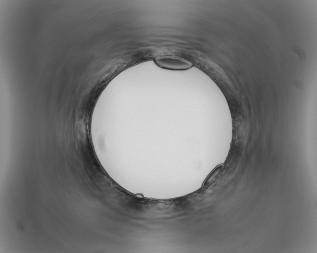 X0000113030329200909241419