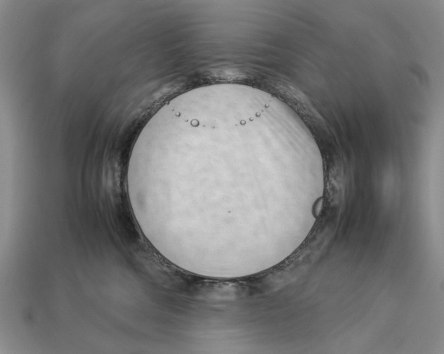 X0000113030330200909241419