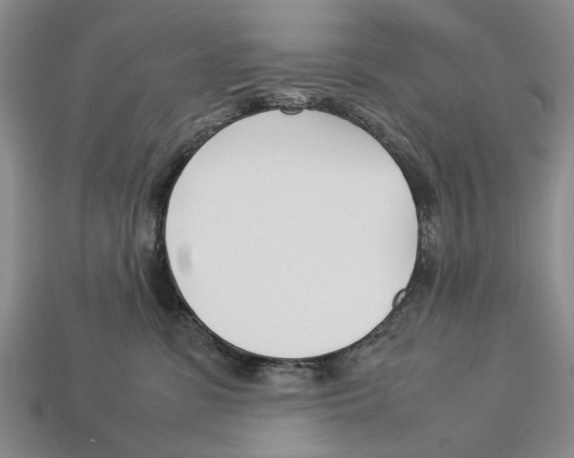 X0000113030331200909241419