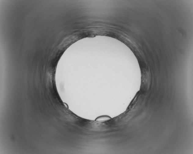 X0000113030333200909241419