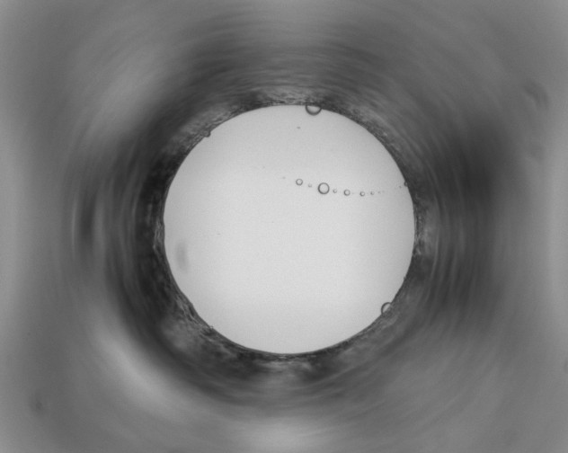 X0000113030334200909241419