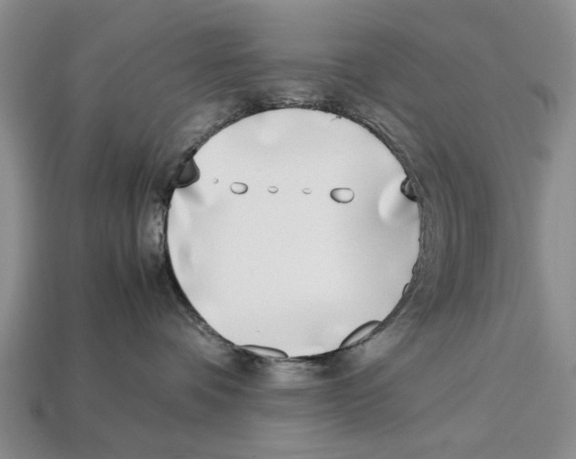 X0000113030336200909241419