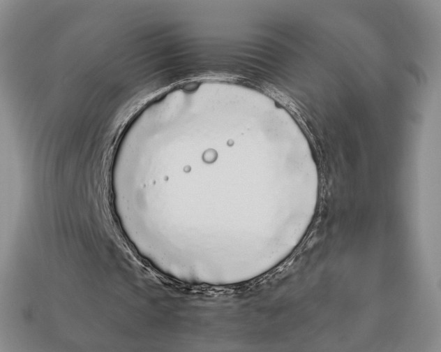 X0000113030337200909241418