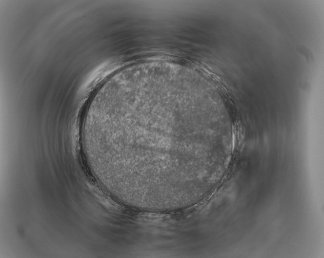 X0000113030339200909241418