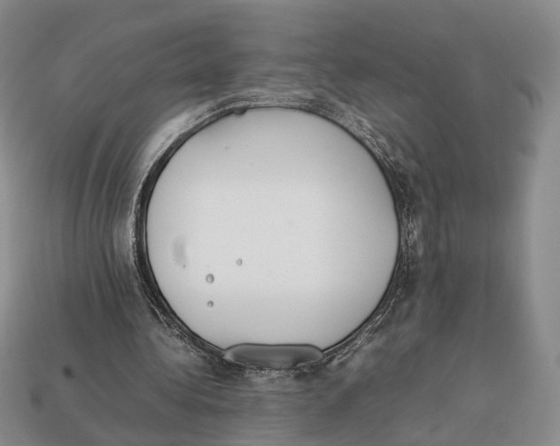 X0000113030340200909241418