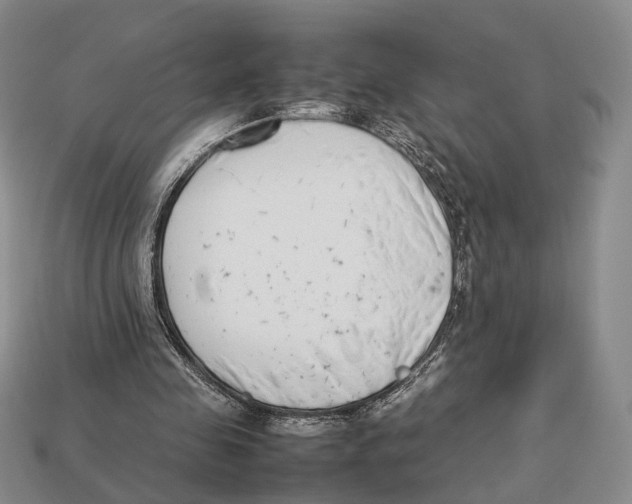 X0000113030341200909241418