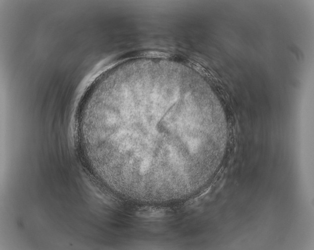 X0000113030343200909241418