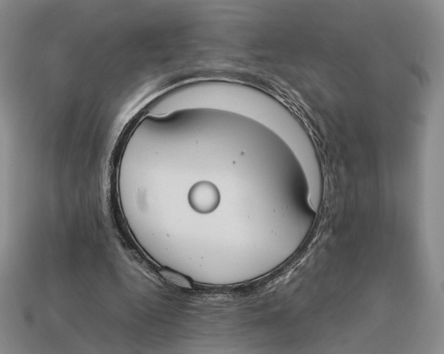 X0000113030344200909241418