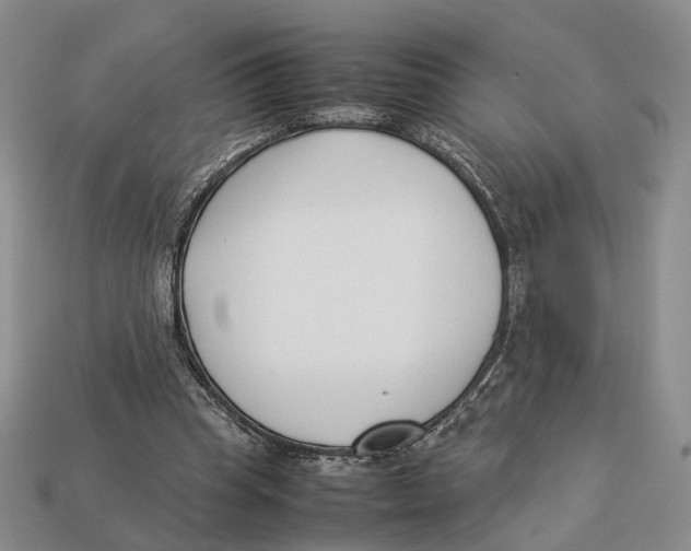 X0000113030345200909241418