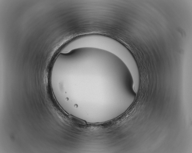 X0000113030350200909241418