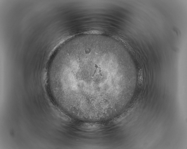 X0000113030351200909241418