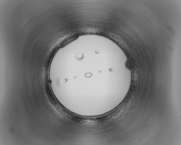 X0000113030352200909241418