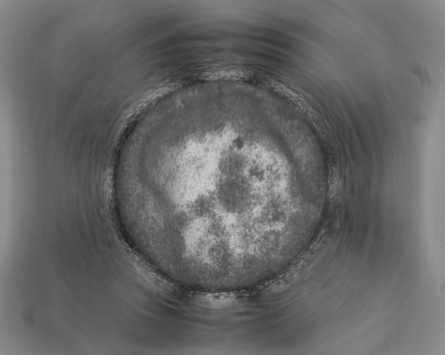 X0000113030353200909241418