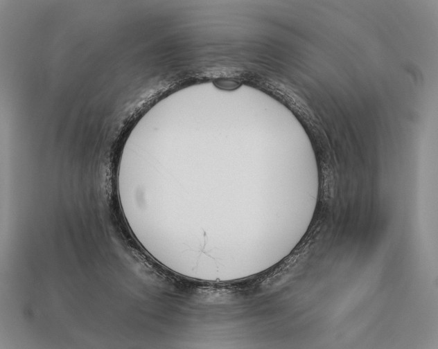 X0000113030354200909241418