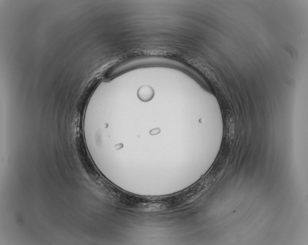 X0000113030356200909241418